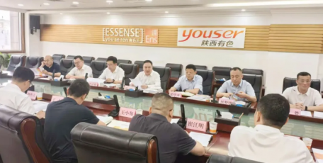 強化企業(yè)內(nèi)控管理 筑牢高質(zhì)量發(fā)展基石——陜西有色金屬集團召開內(nèi)控體系優(yōu)化成果匯報暨驗收會